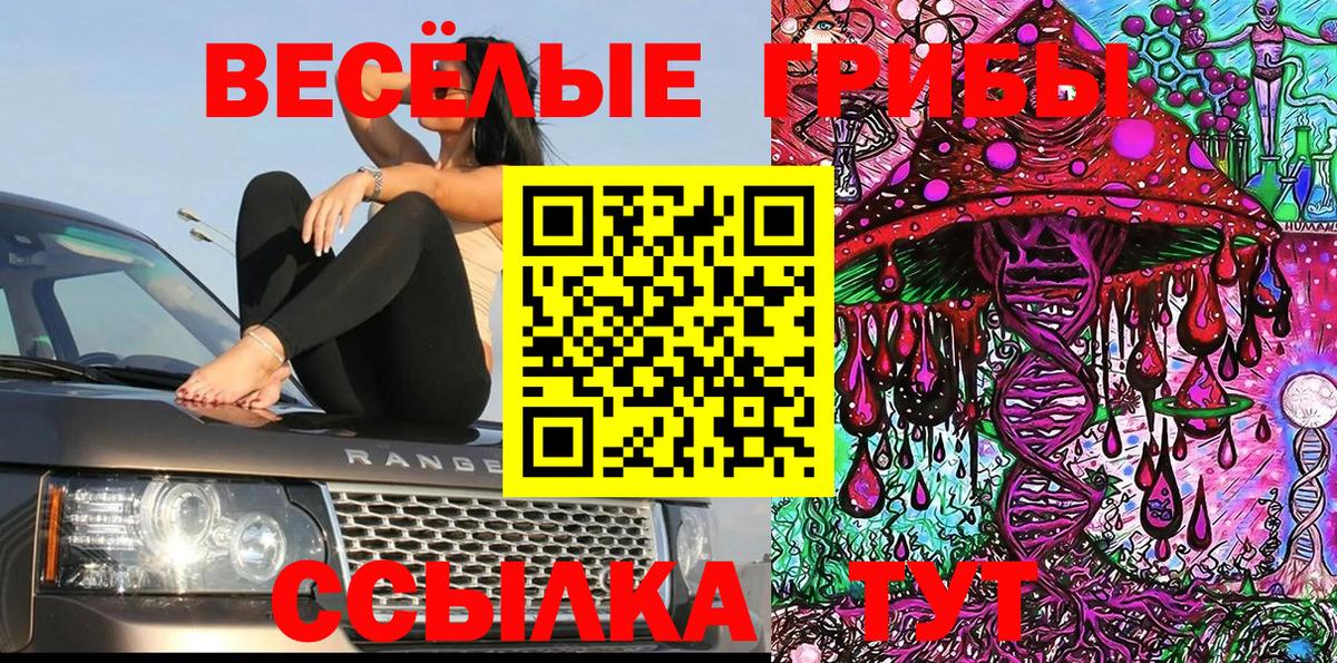 Псилоцибиновые грибы Cubensis  Галлюциногенные грибы мицелий  Вход с VPN  Нижний Тагил 